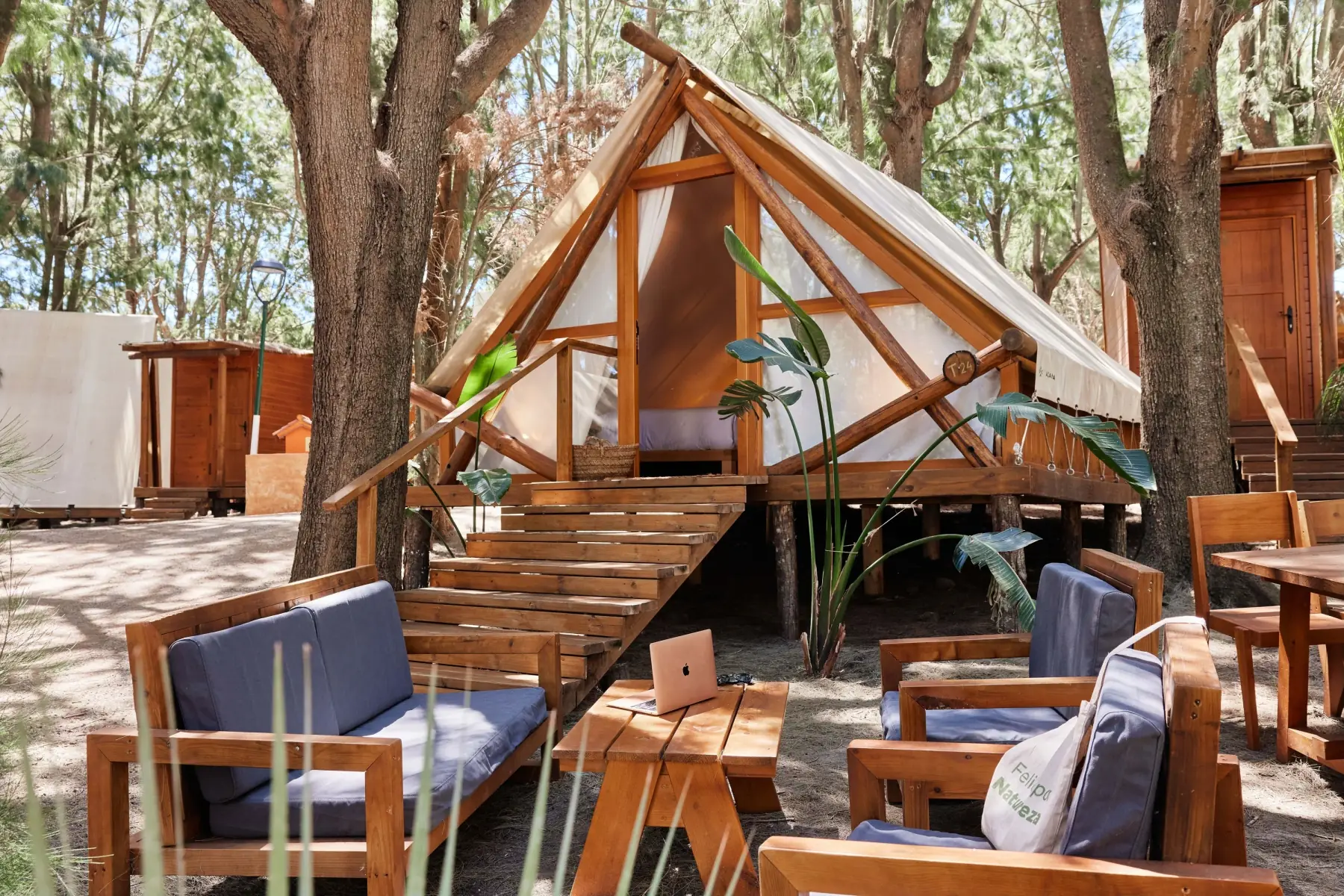 Glamping tent in Tarifa surrounded by trees